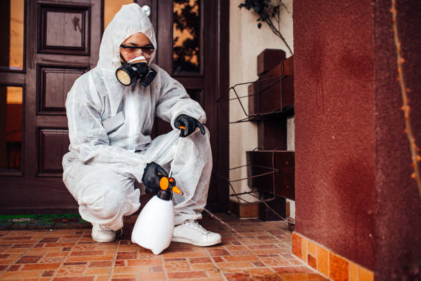 Reliable Bed Bug Control contractor in Maysville, OK by Nex Pest Control
