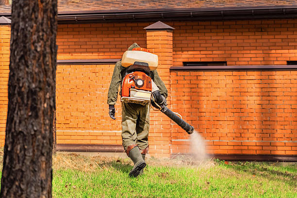 Trusted Bed Bug Control service in Maysville, OK - Nex Pest Control